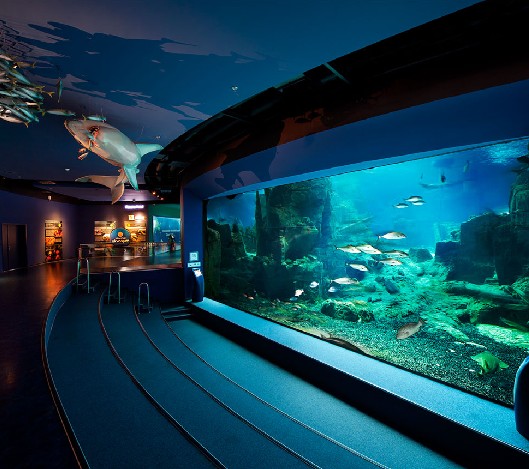水质处置设备,水族馆水处置,水族馆设备